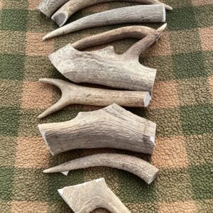 Dog Chews