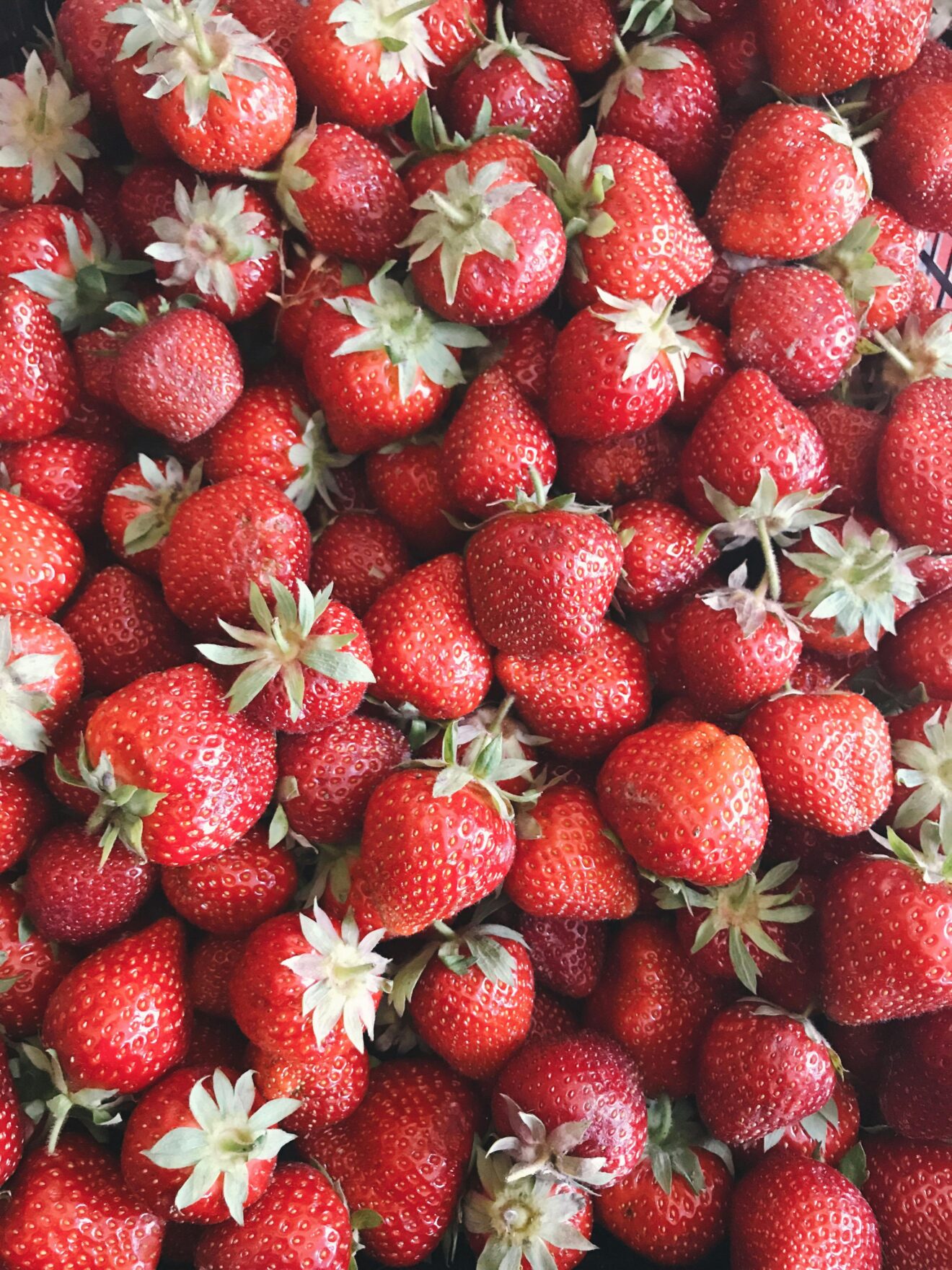 Maine Strawberry Pie Bars - Image 1