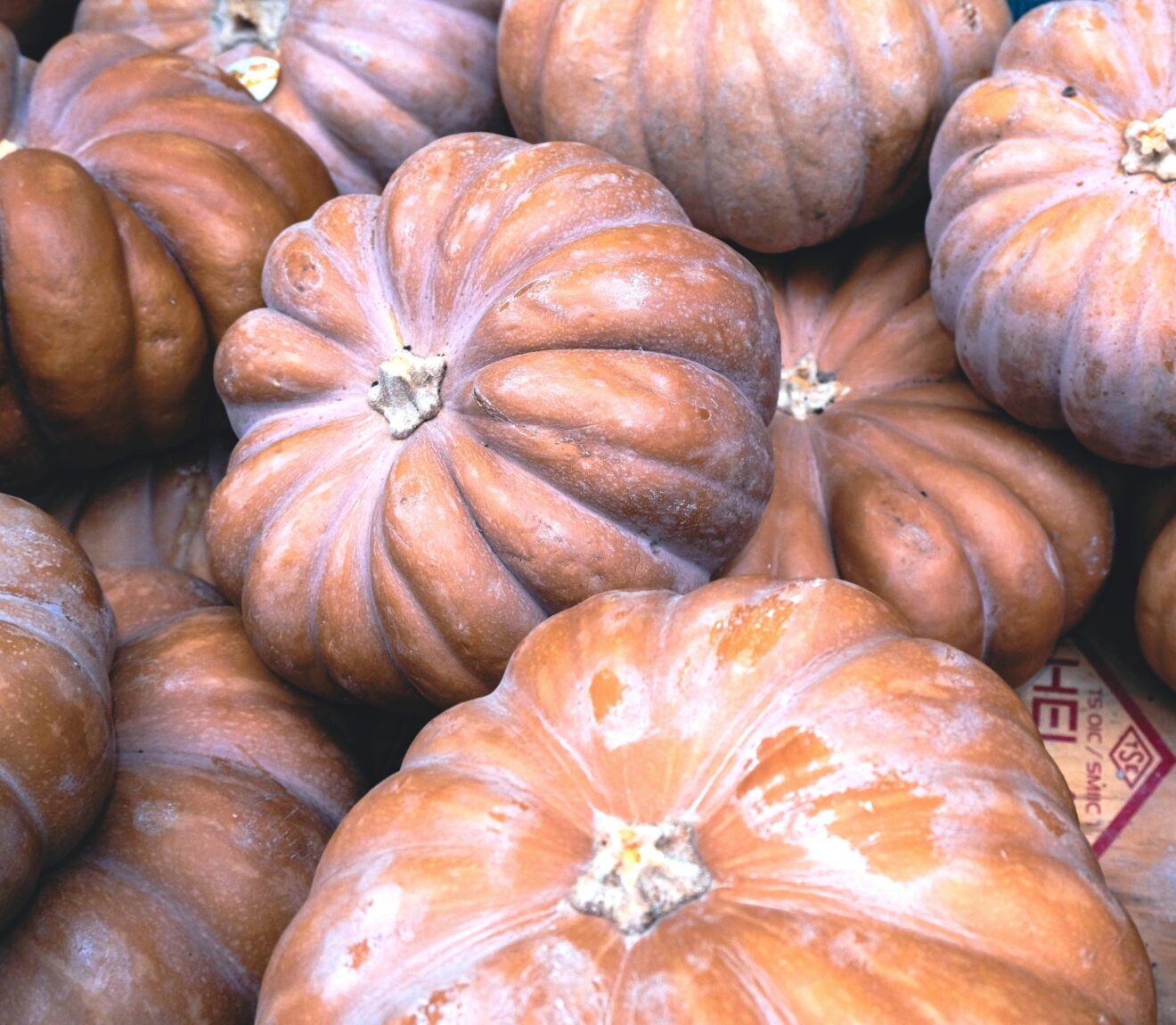 Japanese Squash Soup - Image 2