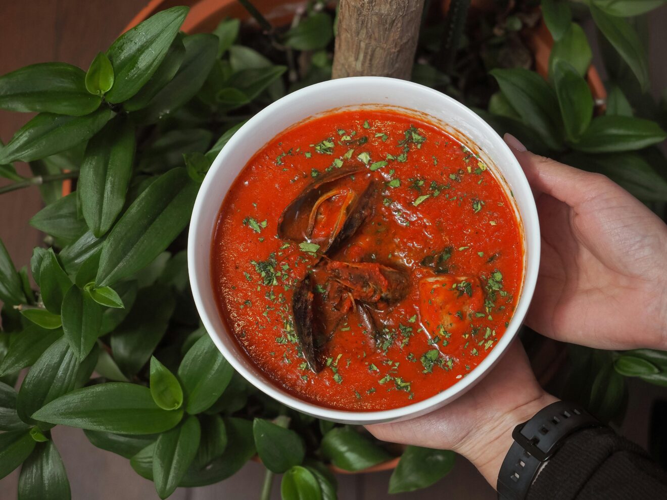 Tomato gazpacho - Image 1